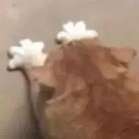 我这几天不在，没法实时追物料！一切回来说！ 