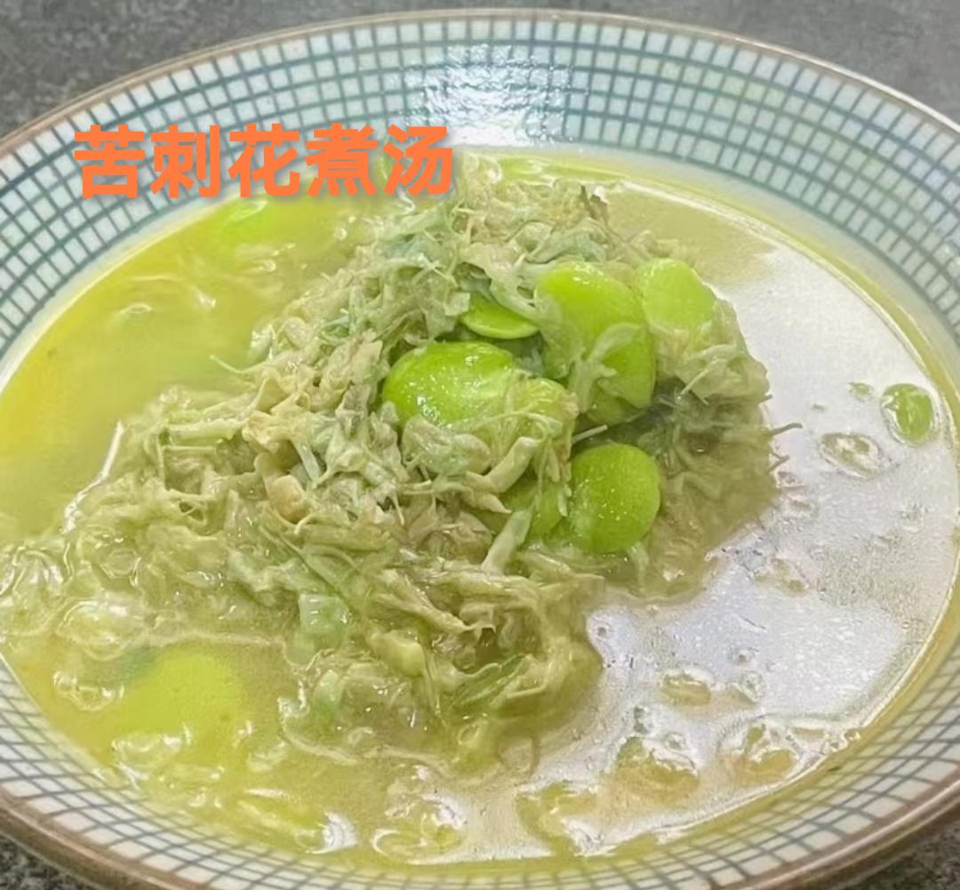 苦刺花学名叫白刺花🌸山野间的苦味精灵