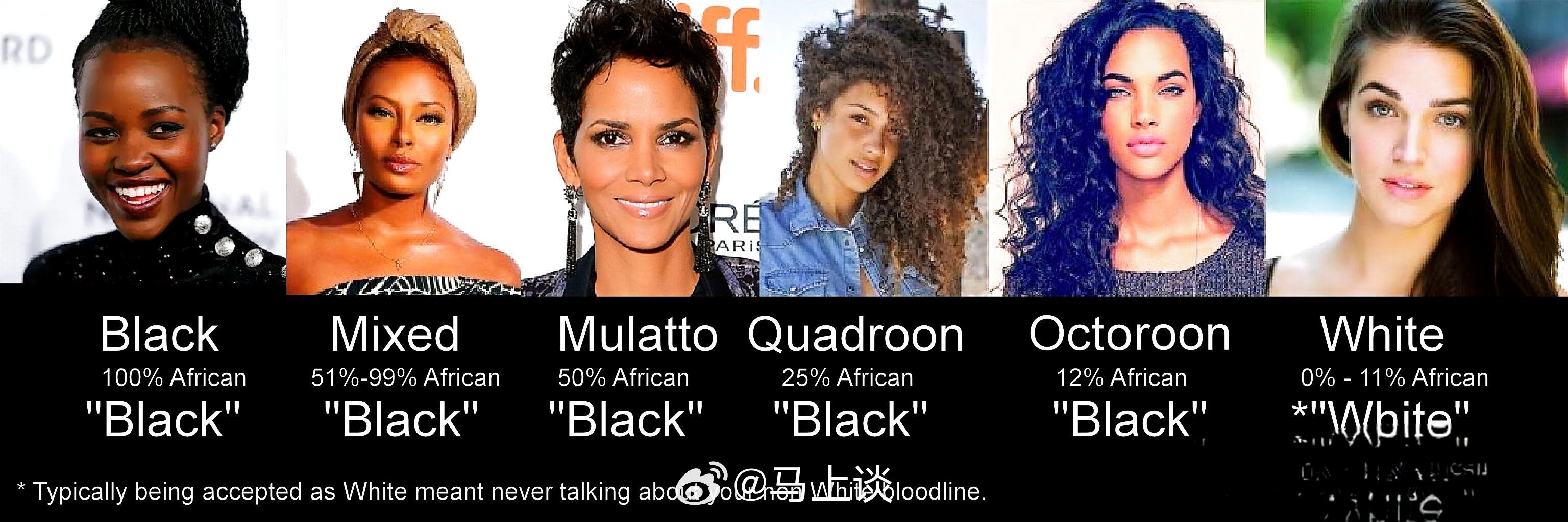 西方对黑人隐蔽的歧视——一滴血原则。西方语境下对黑人混血儿的细分单词很多：Bla