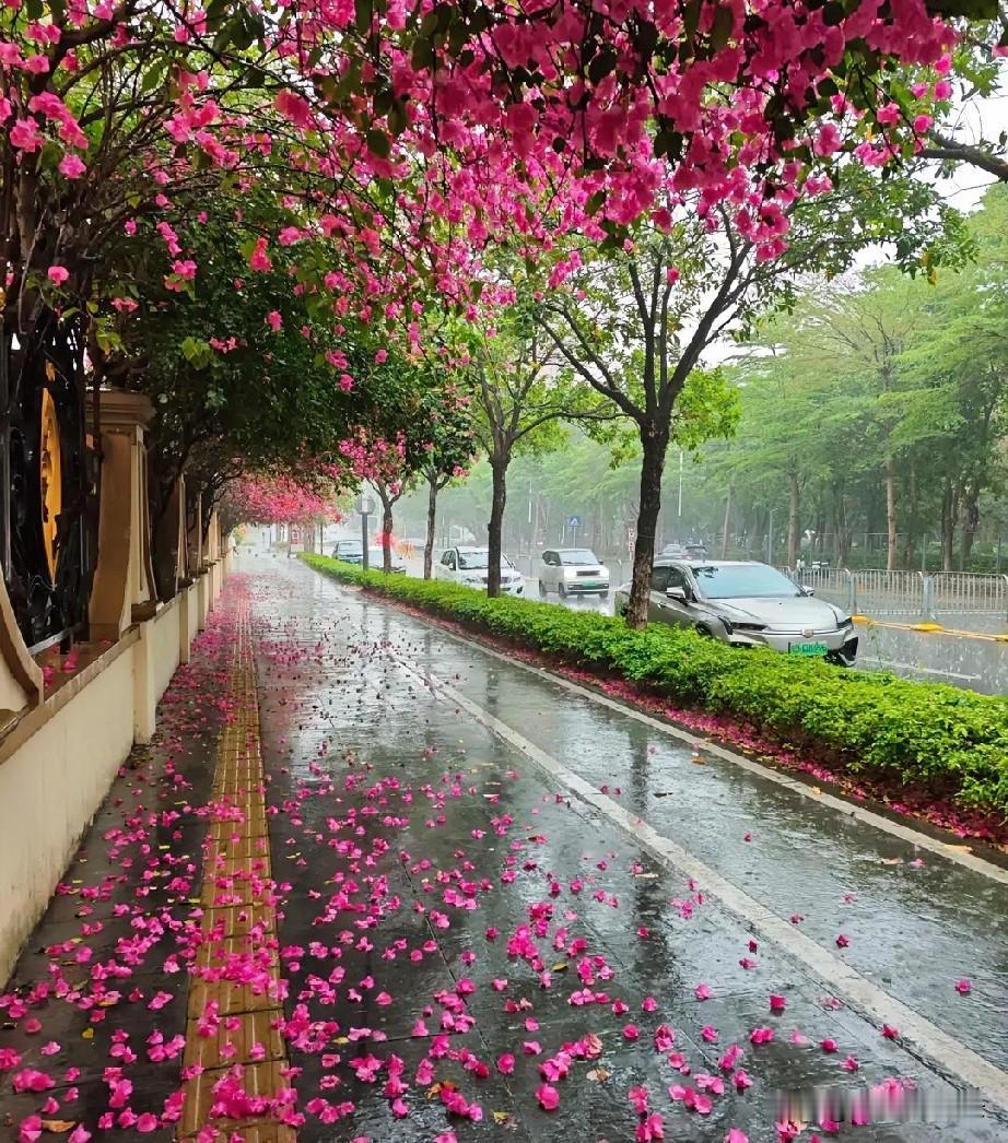 雨落人间，是自然的修行。万物不拒风雨，纳之于心，化之于形。入土则涵养生机，附叶则