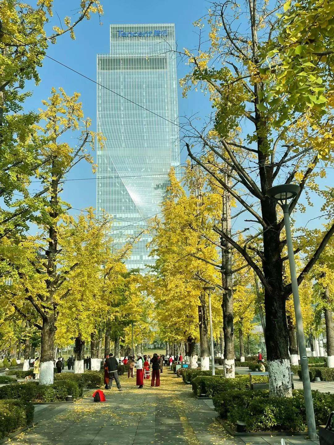 美丽山城重庆，好姐妹相聚一起……[赞][玫瑰][福][祈祷]