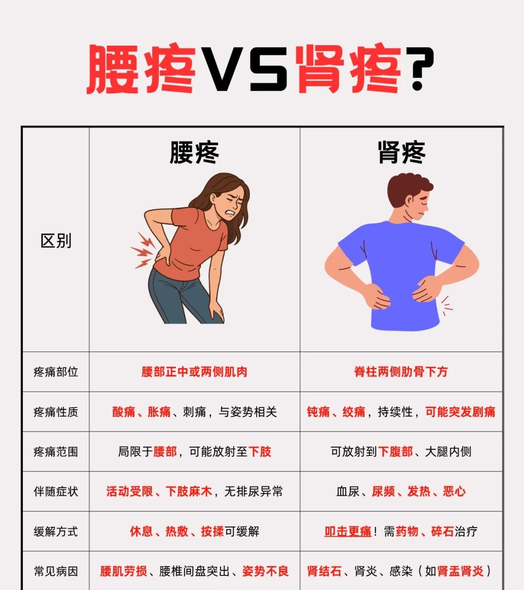 腰疼还是肾疼？5招快速辨别！