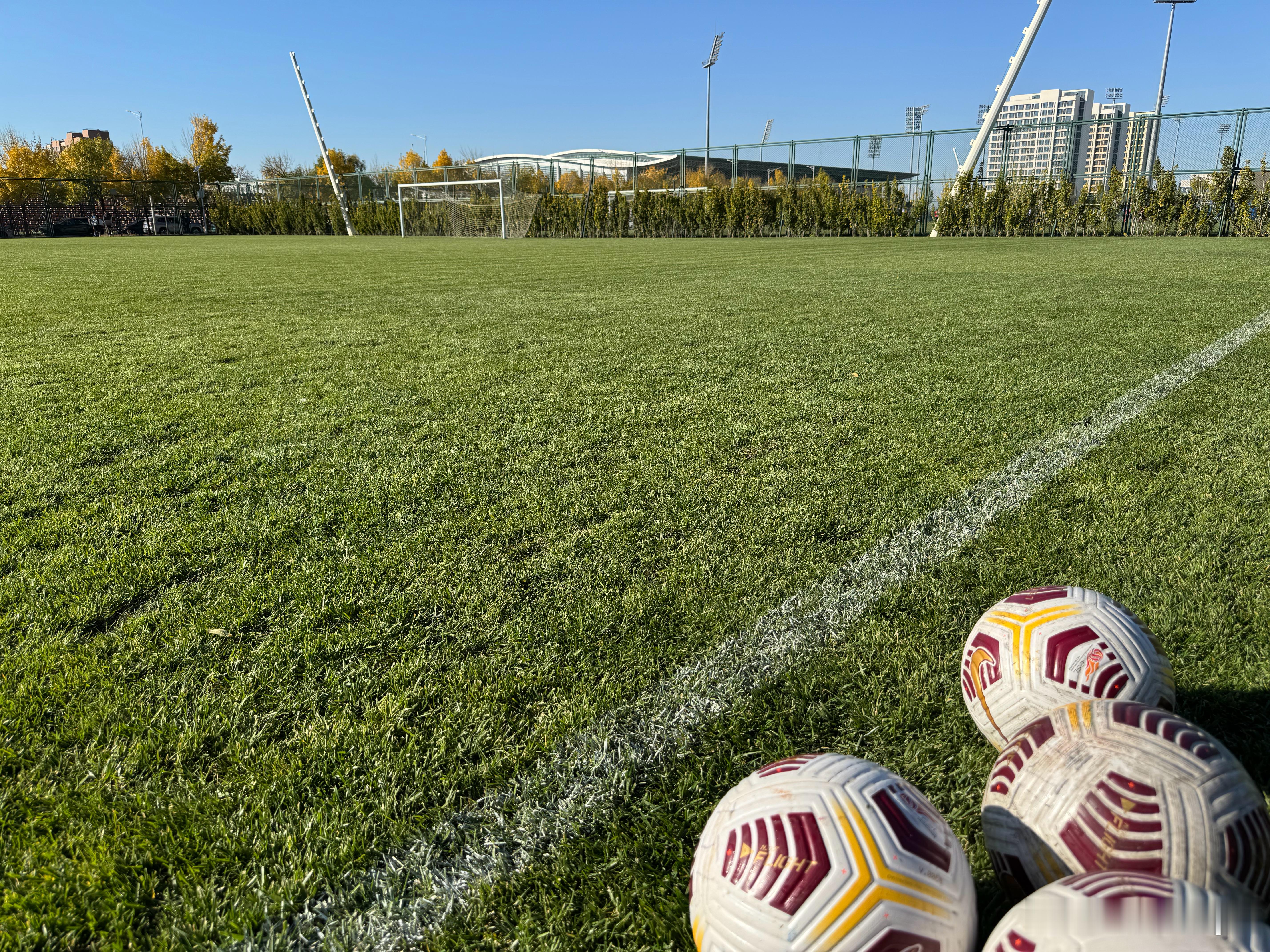 天儿真不错！天津老甲a  ​​​