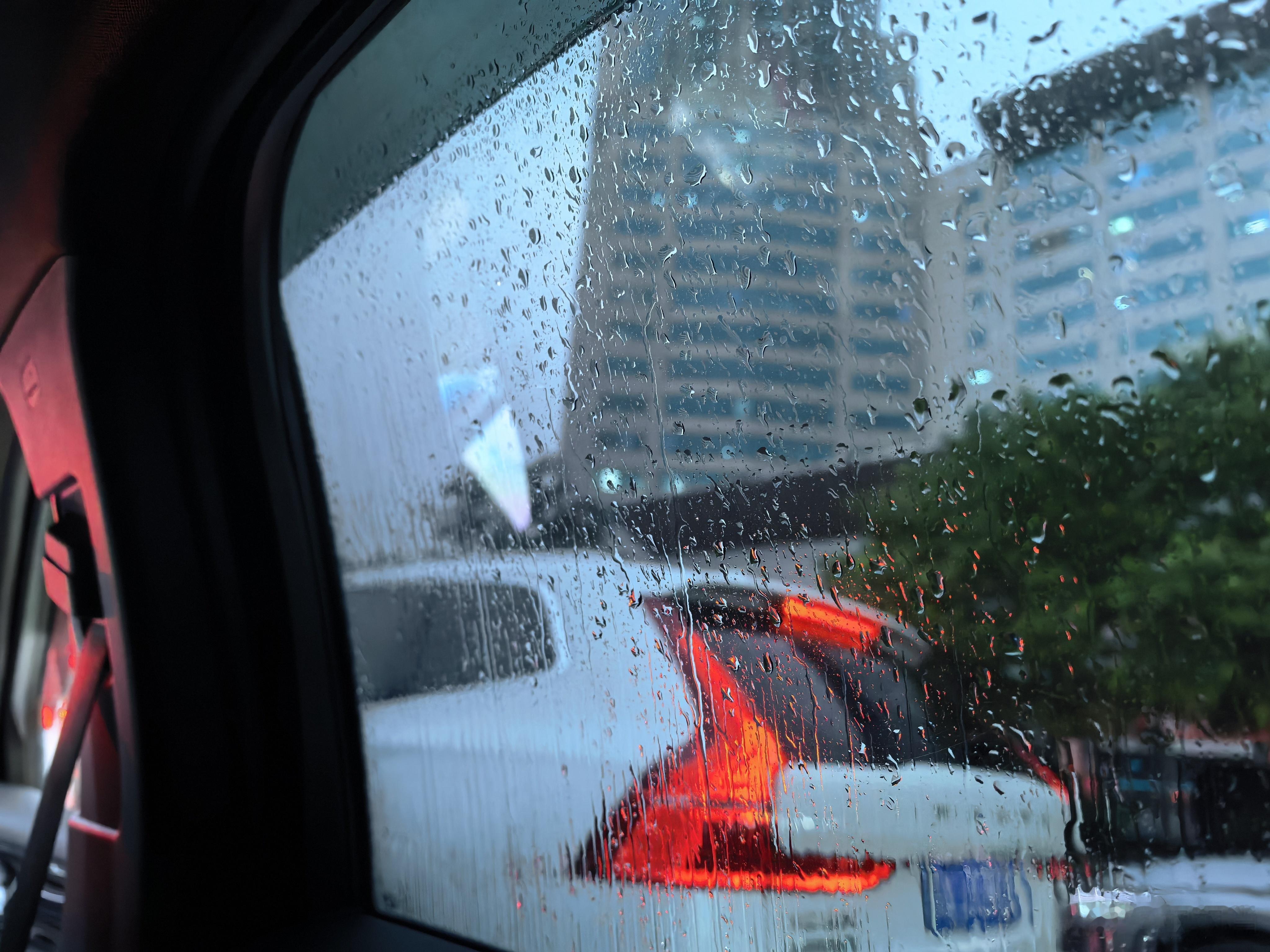 烟雨京华，有点江南的感觉了。 ​​​