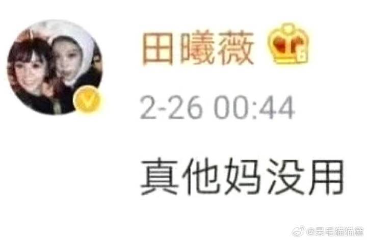 太妹就这样骂骂骂 粉随正主这一块