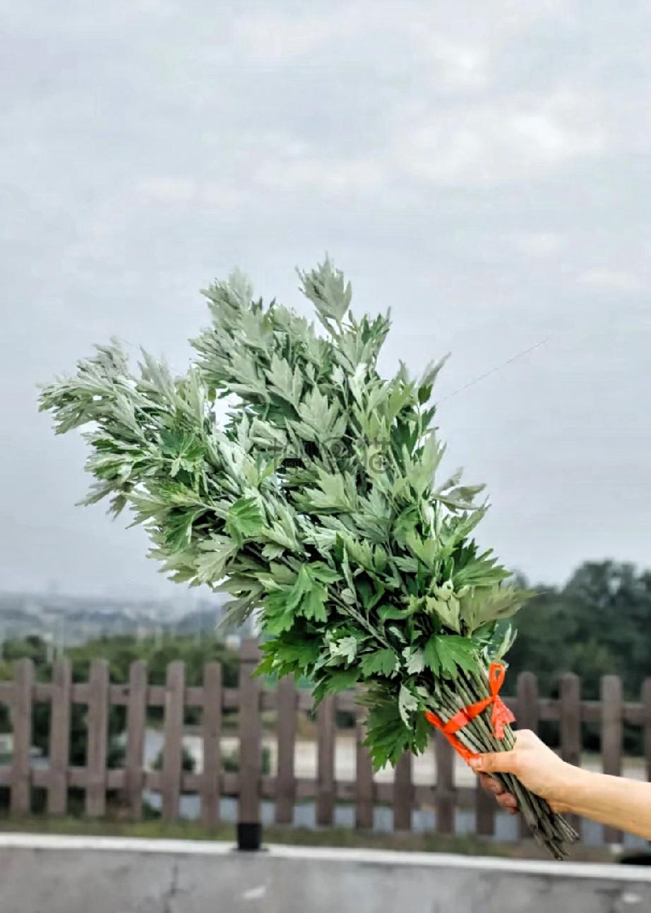 今天是六月初六，提醒大家别忘了做一件事。
 
六月初六一个老习俗，90%的人不知