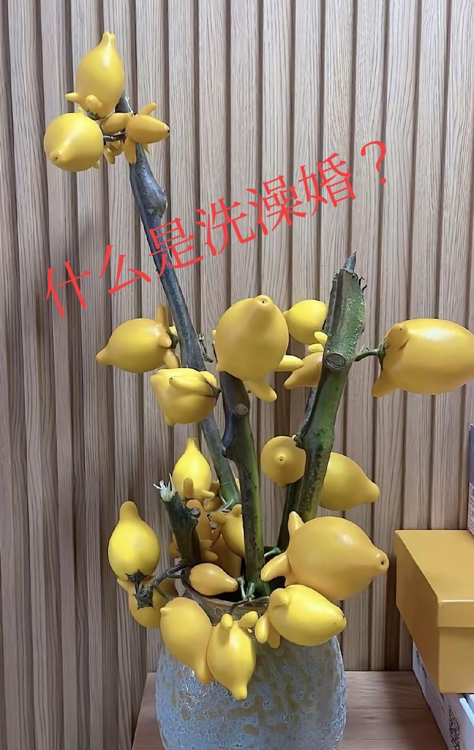 洗澡婚就是俗称的“光溜溜进去，光溜溜出来”的婚姻。女方嫁给家境较好的男方，但对方