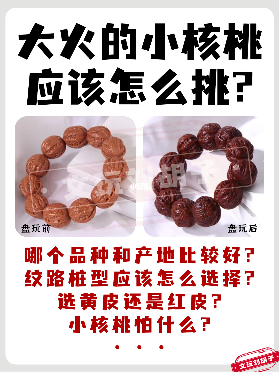 补知识的机会来啦，大火的小核桃应怎么挑？