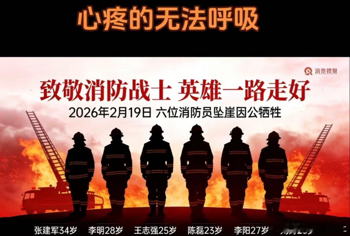 一身戎装护万家，归途不幸陨芳华。六英忠魂归天地，人间永记火焰蓝烽火问鼎计划热血军