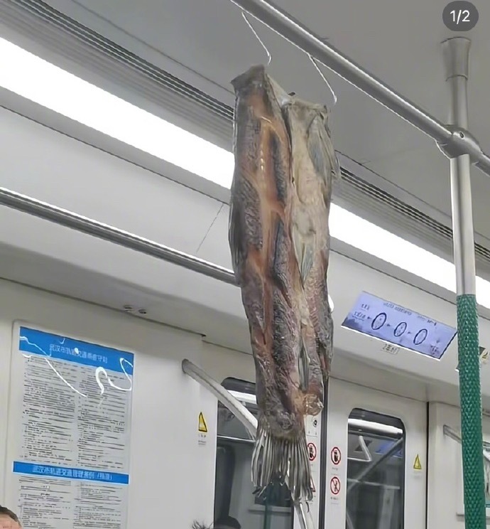 地铁上刷新野生鱼获了耶