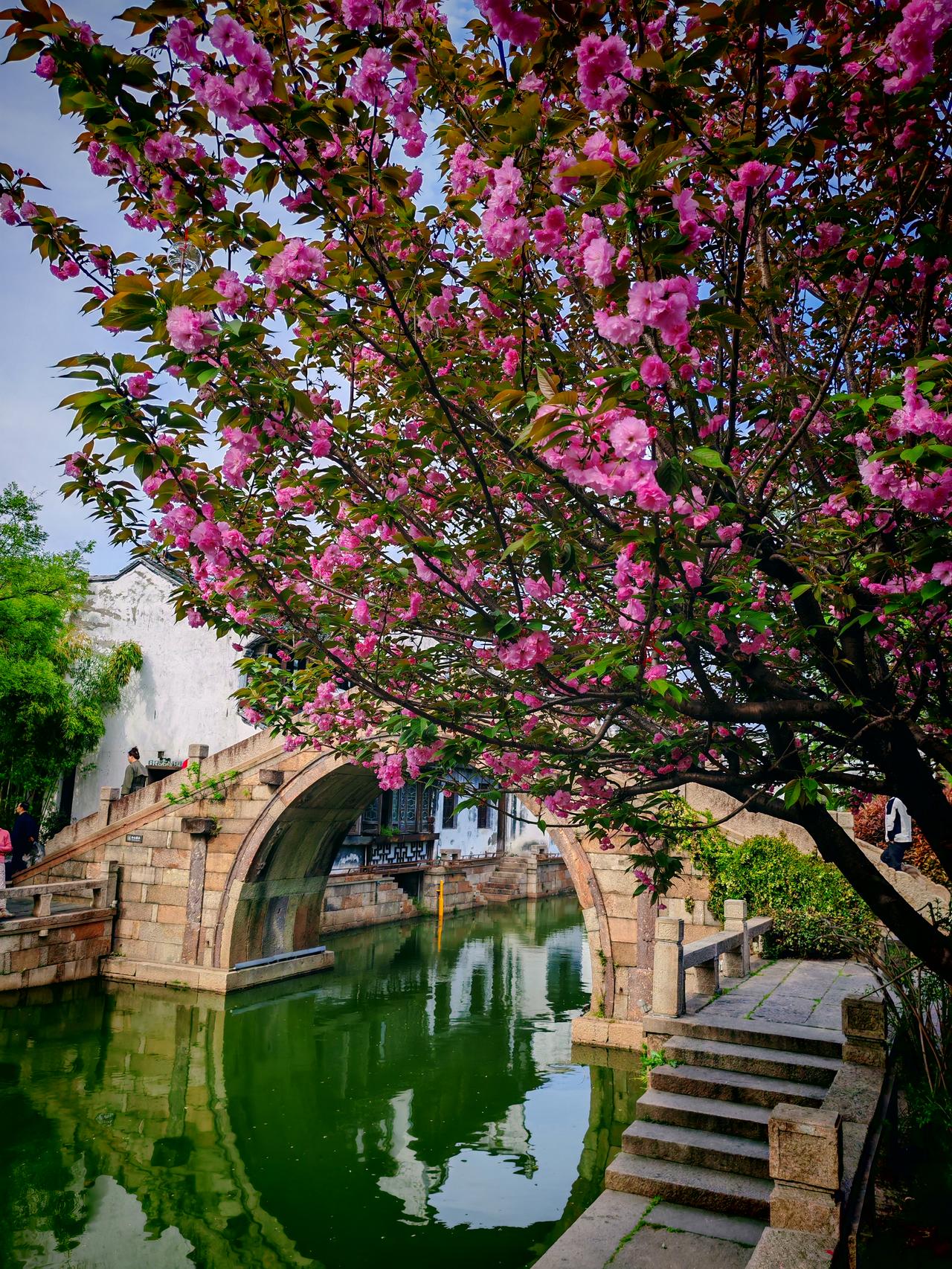 春日生活打卡季