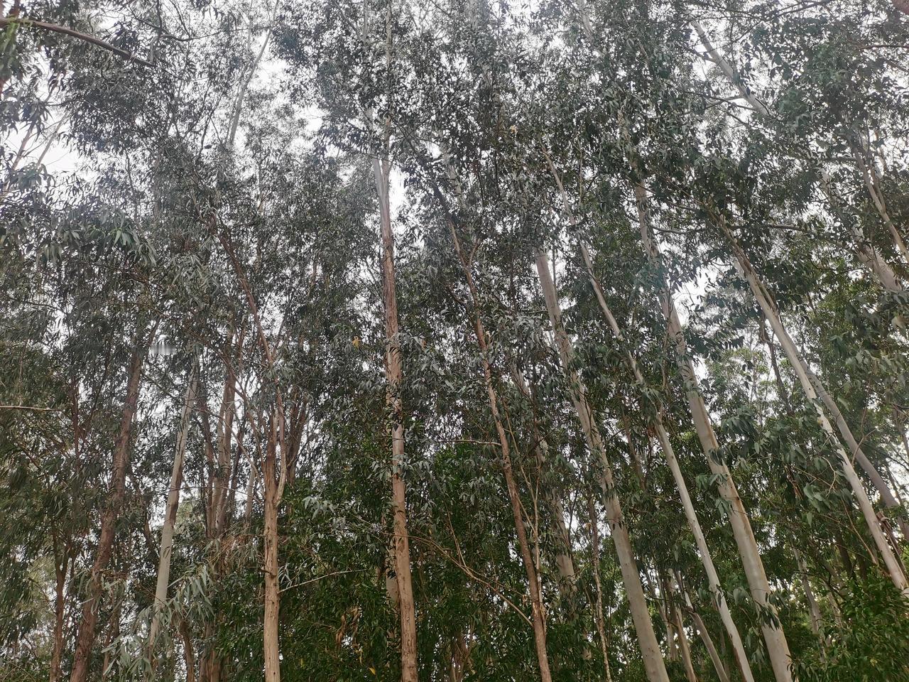 这真是异想天开！刚刚看到美国又纠集起欧洲的27个国家，加上美国自己，凑成了一个看