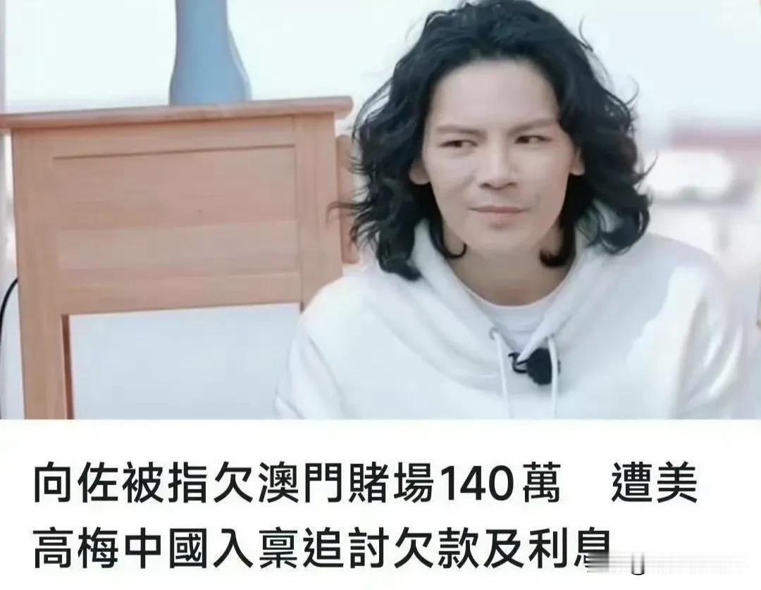 听说了吗？向佐被美高梅告啦，说向佐借了 200 万港币，结果只还了一部分，还有 