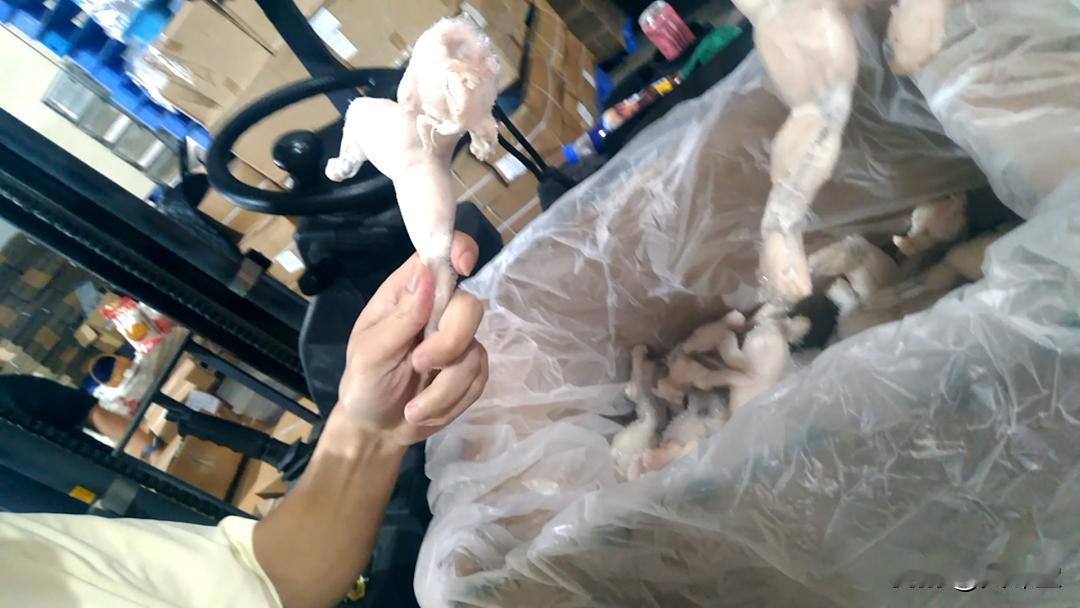 暗访牛蛙加工厂：专留一批样品应付检查，超标蛙卖给外卖店。从4万多家餐饮店和480