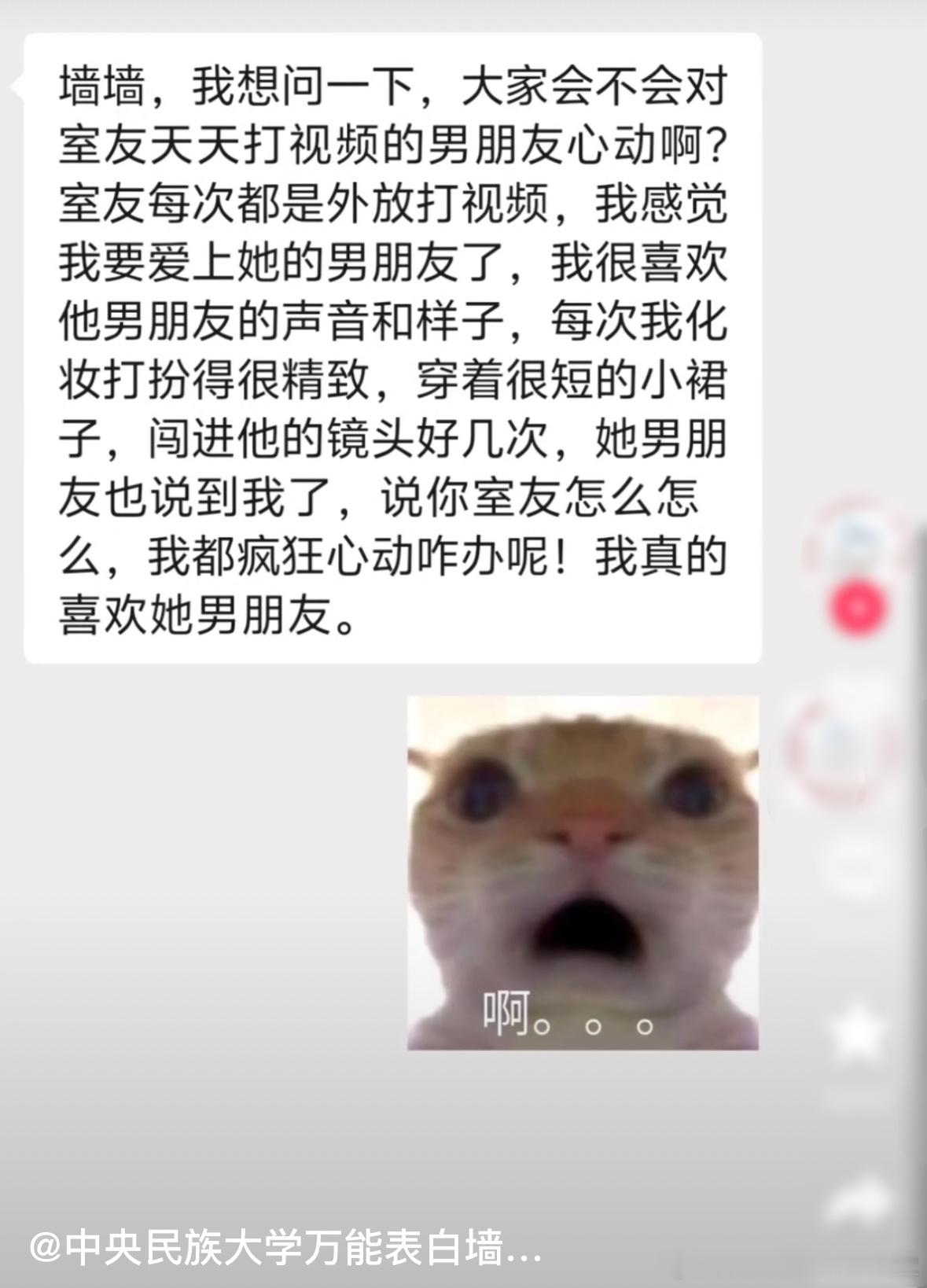 终于承认我是一个没脑子的人了[泪][泪] ​​​