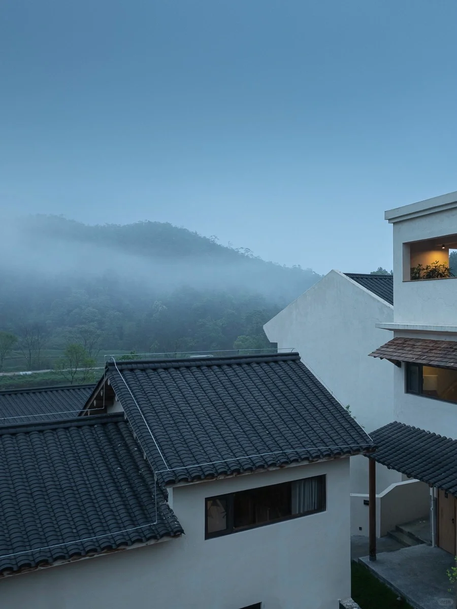 赣州｜闻闻山野里的青草香