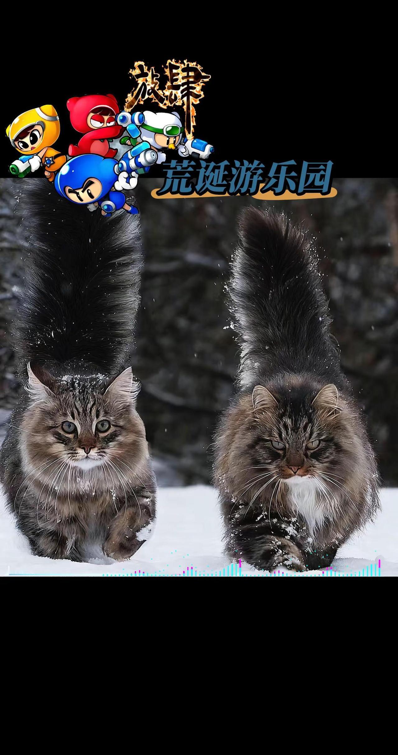 世界是个巨大游乐场，每个人都在卖力表演！荒诞游乐园 游乐园 动物世界 你好音乐人