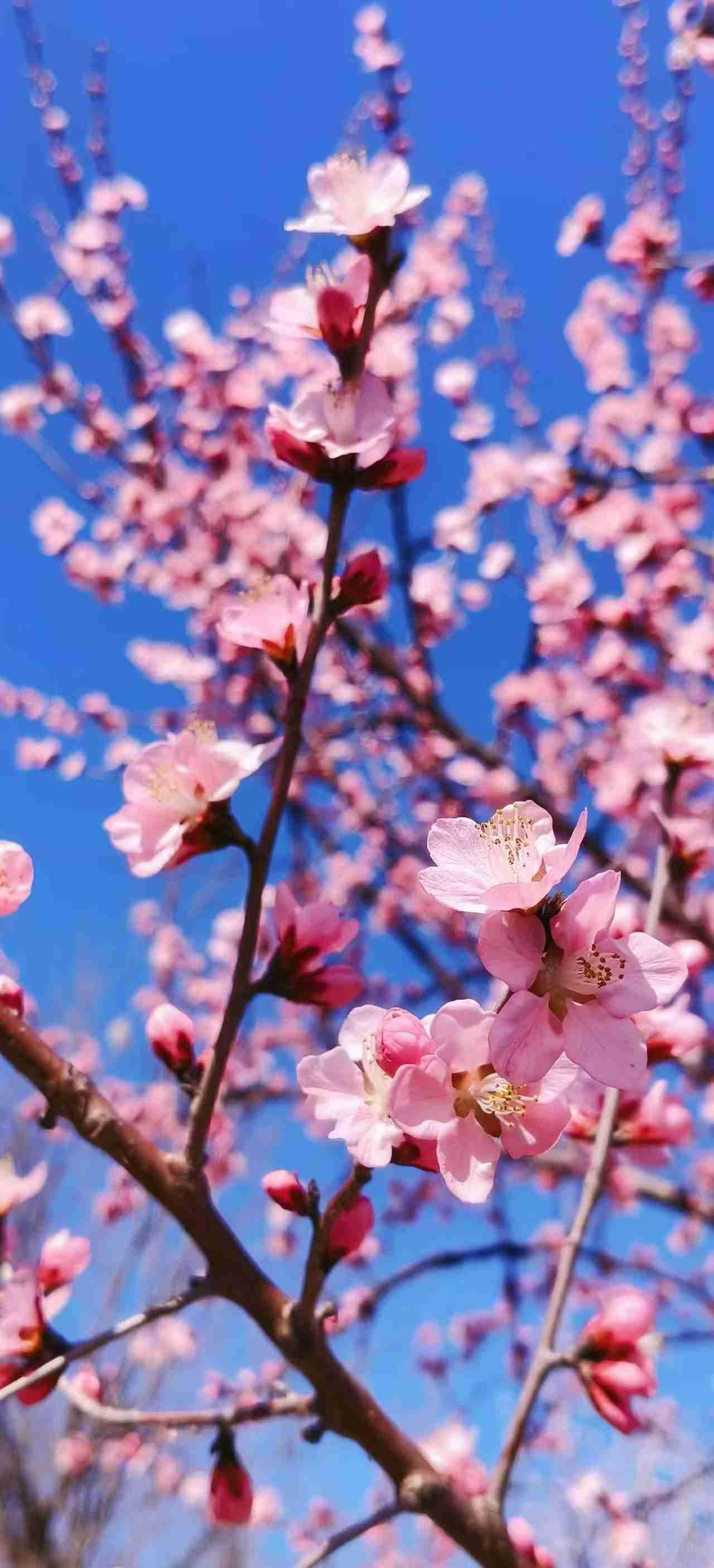 我的今日状态：😁轻松愉快
我这里的天气：☀️晴天
