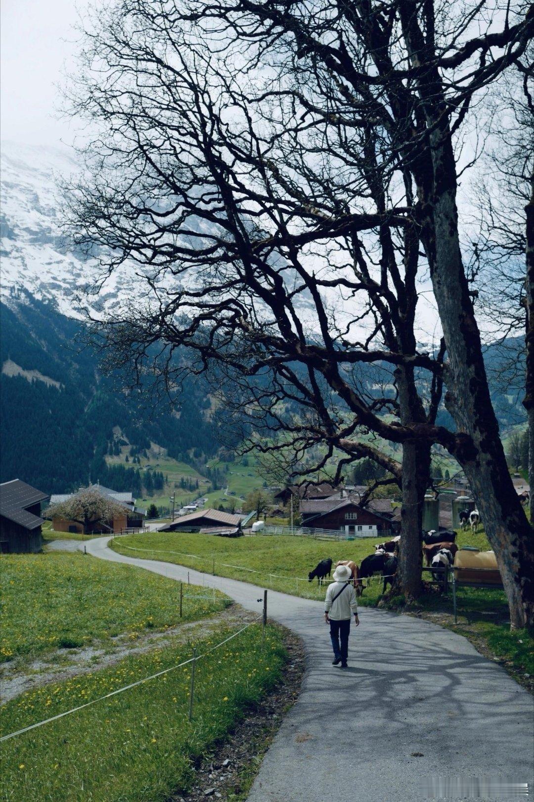 #你有多久没陪父母出去旅行了#别让忙碌偷走了陪伴的时光，是时候放慢脚步，和爸妈一