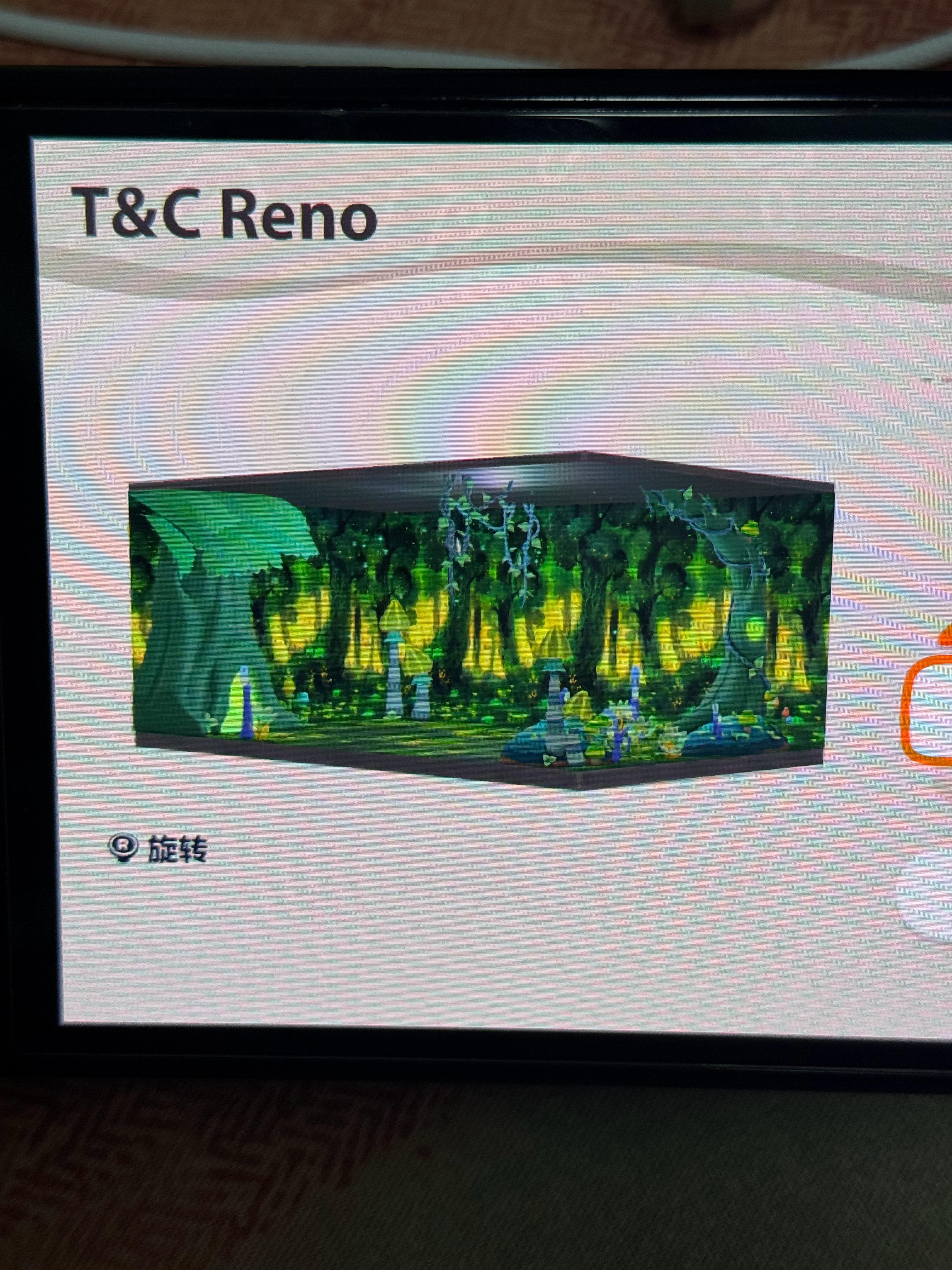 兰纳罗之家 
