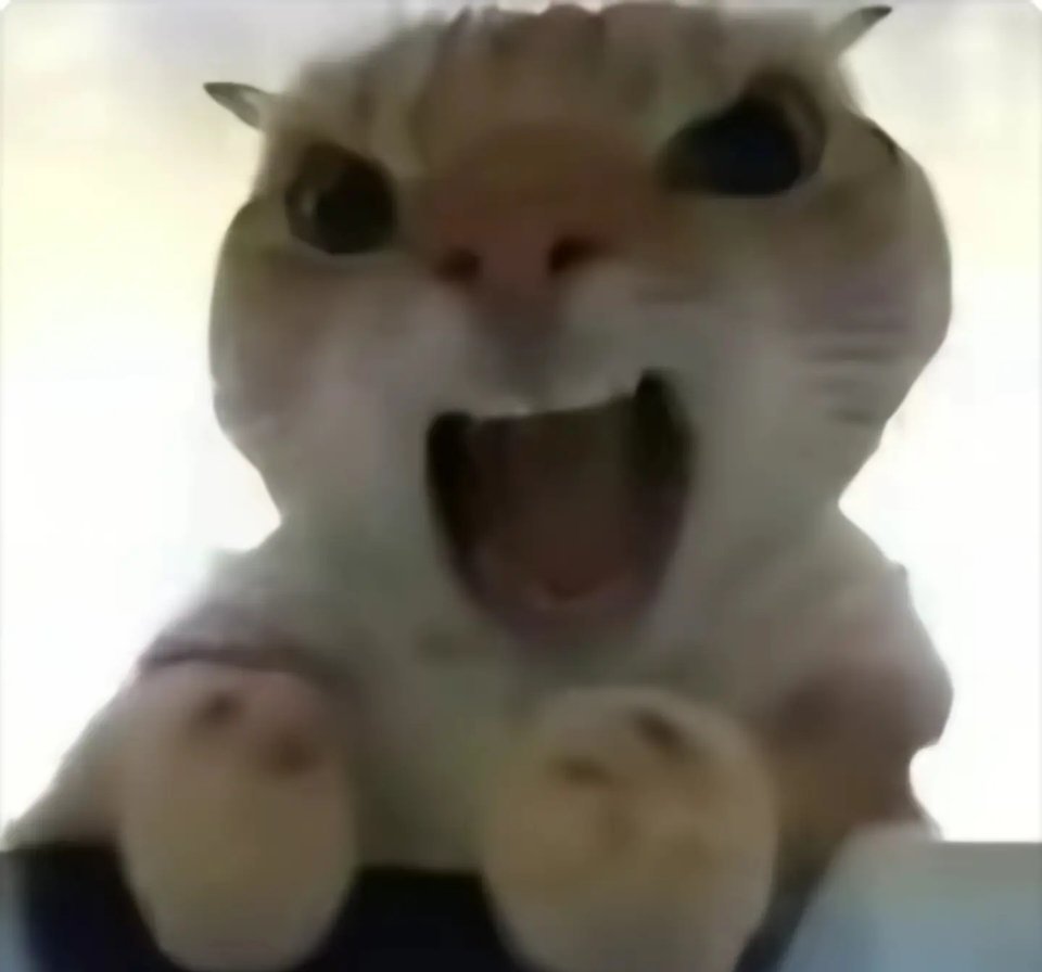 好呢！这辈子注定被强女迷得斯斯滴 