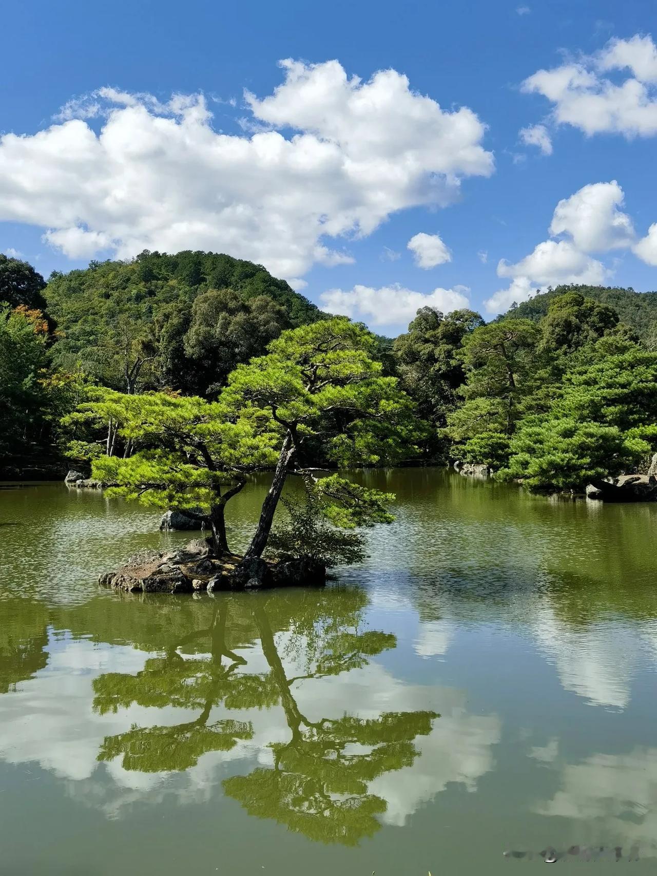 【风语】赶上了好天气，我见到了京都金阁寺显露本色的舍利殿。舍利殿墙体外面由金箔包