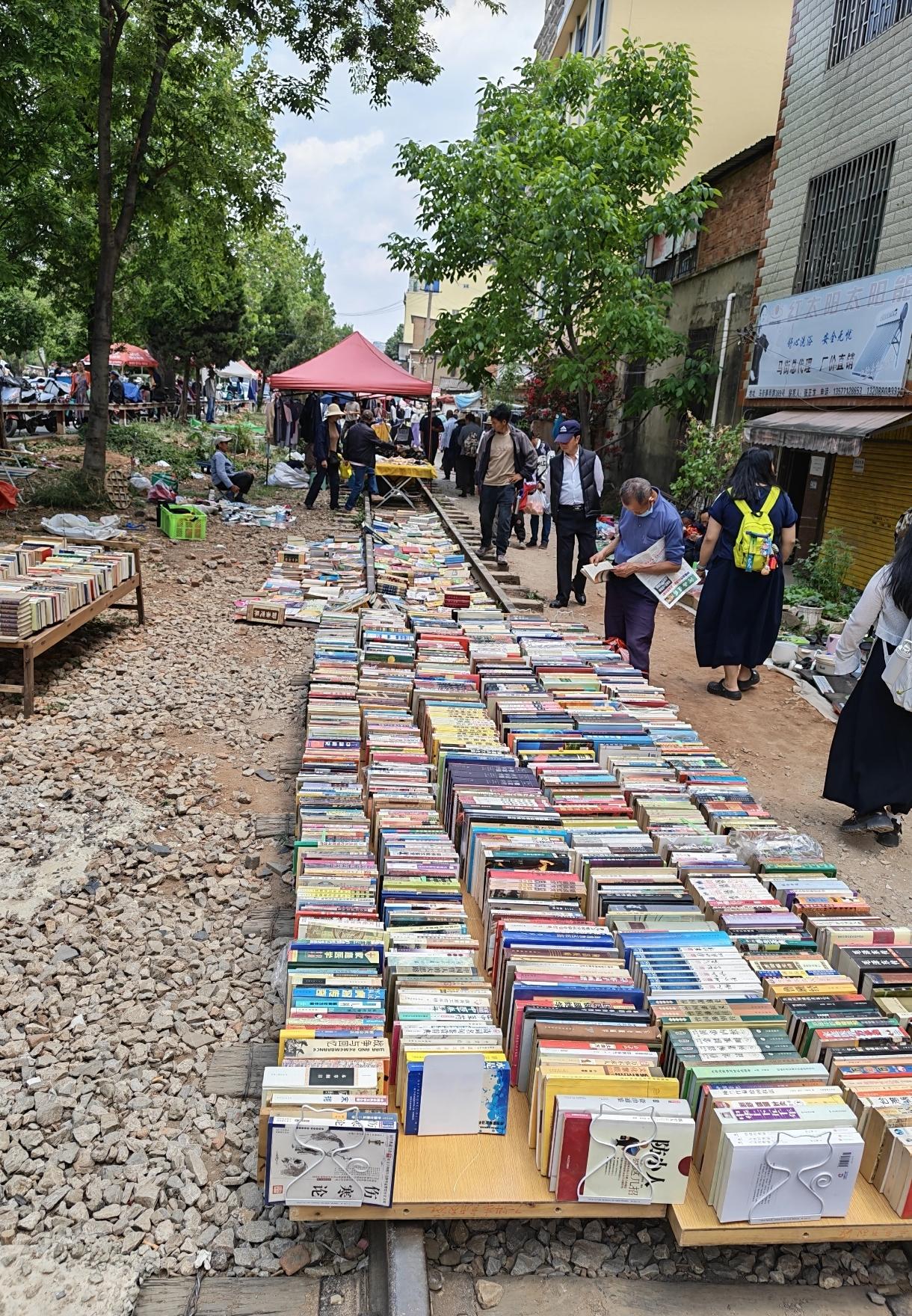 最喜欢这样的书摊了，可惜非常少了。摊位不少，购买的人少，冷冷清清的，估计水都难喝