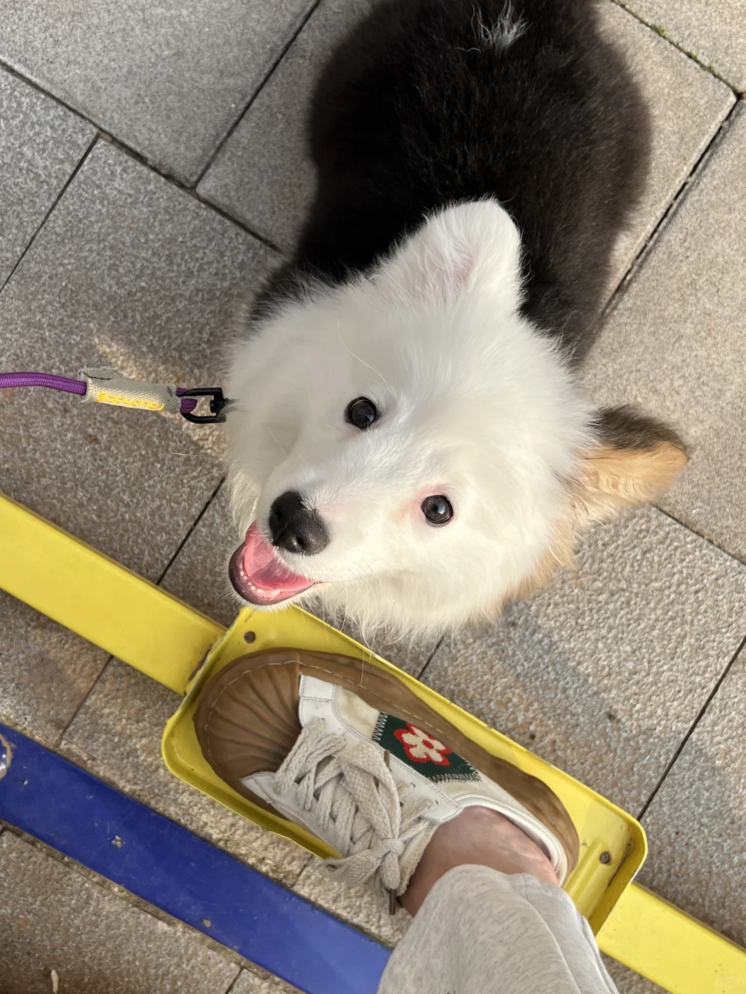 我们一岁啦🎂