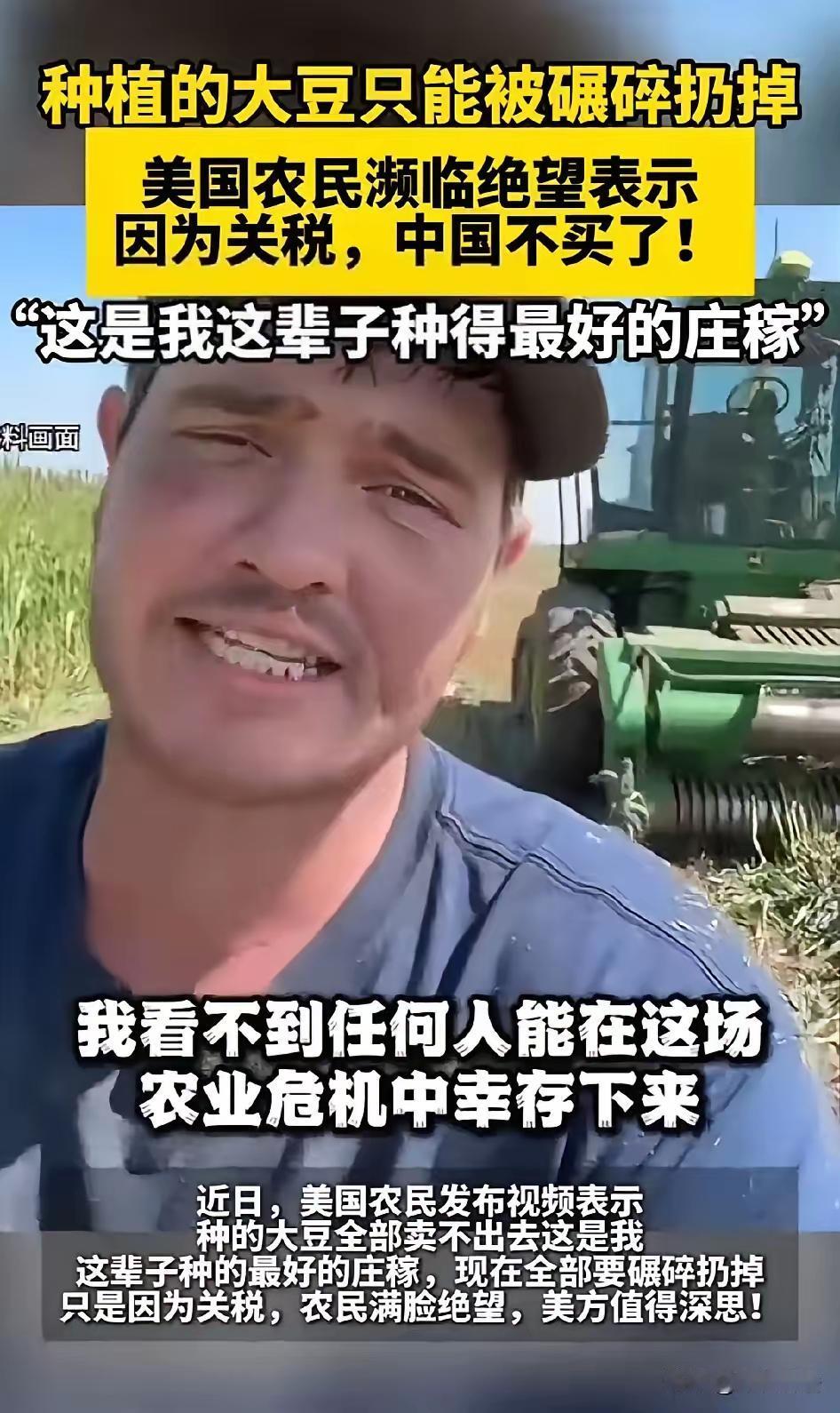 大豆滞销：中国三年前挖的坑，特朗普现在才看见
美国豆农最近头大：仓库爆满，价格跳