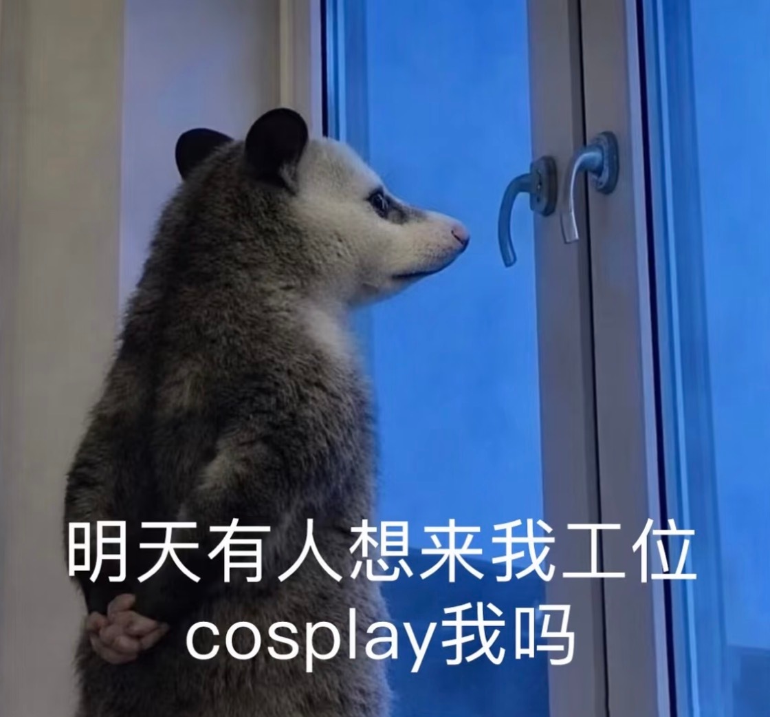 周五不摸鱼摸什么 
