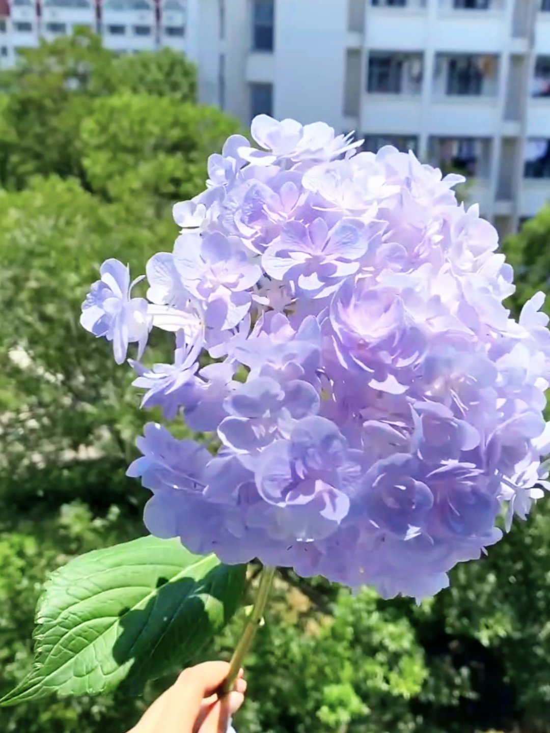 能呼吸的人，大概率还活着... 