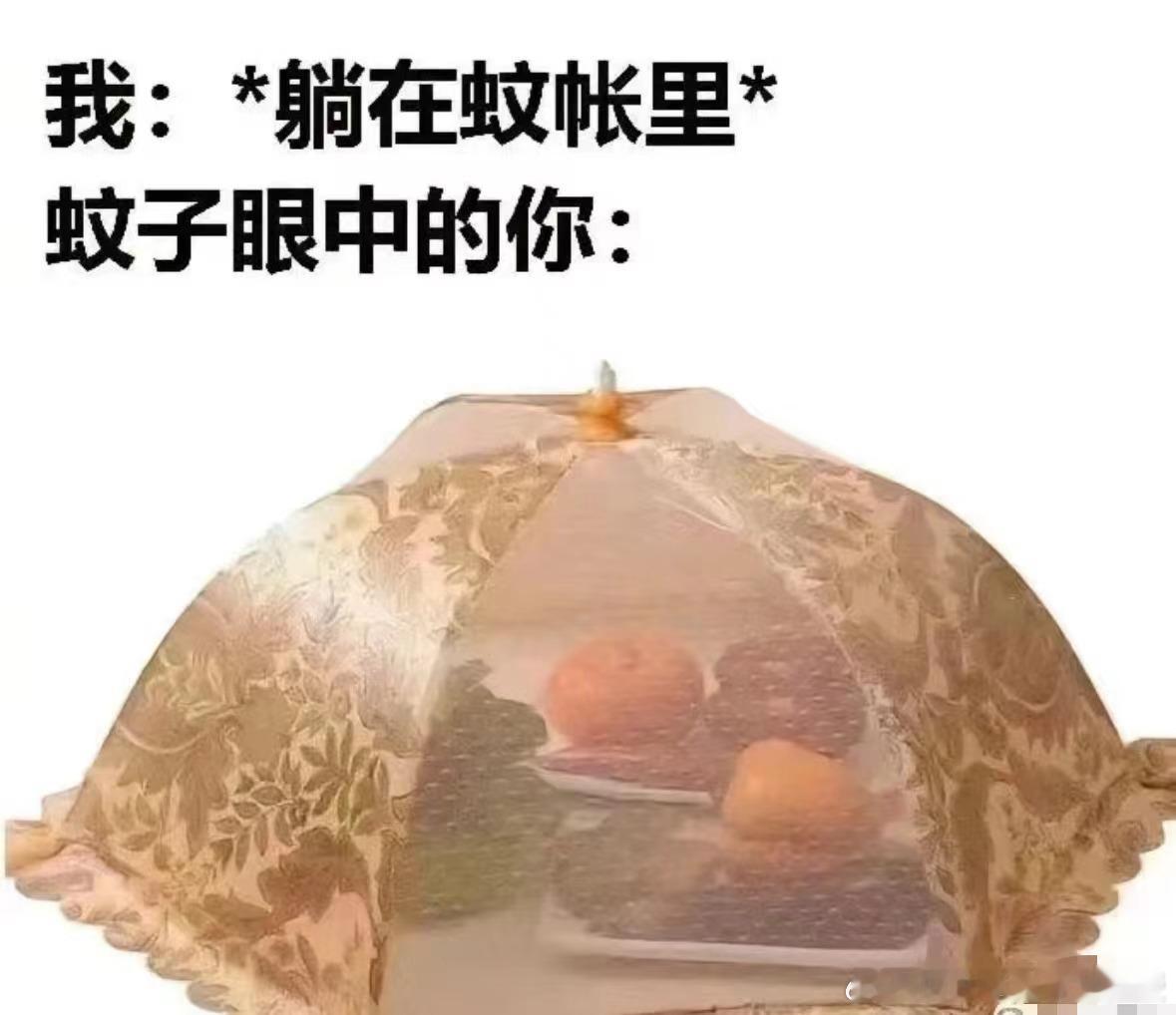 #一句话科普# 驱蚊成分「派卡瑞丁」，比避蚊胺更能有效防蚊，且对人体的潜在毒性更