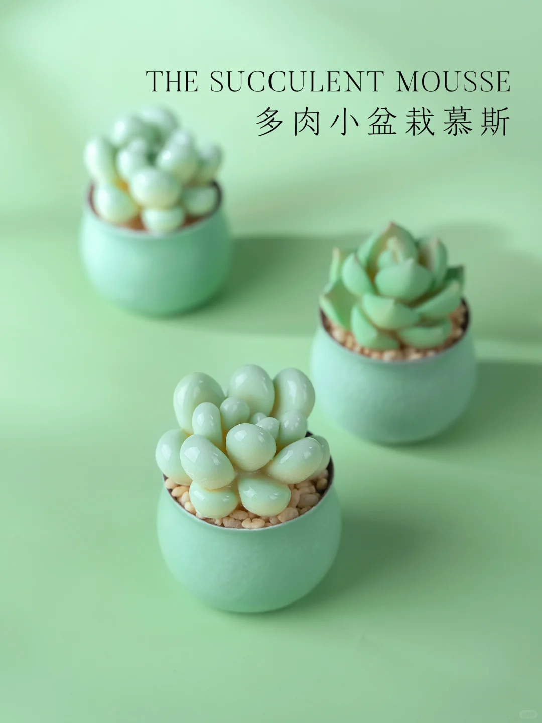 肉嘟嘟的萌萌小多肉慕斯