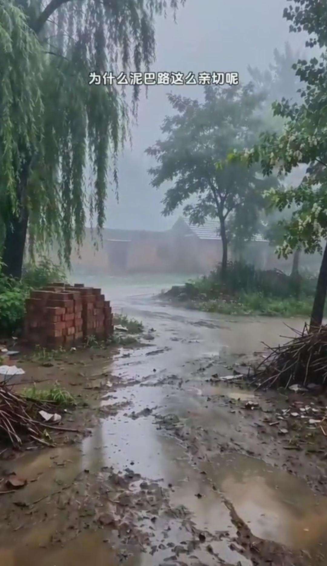 泥泞路，情意浓。5月22日山东全省都在下雨🌧️吧？这是鲁西南农村的下雨🌧️的