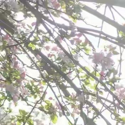 回首往昔，人生苦短，诸多梦想难实现，试问谁能无遗憾？旧梦远去，新愁又添，多少壮志