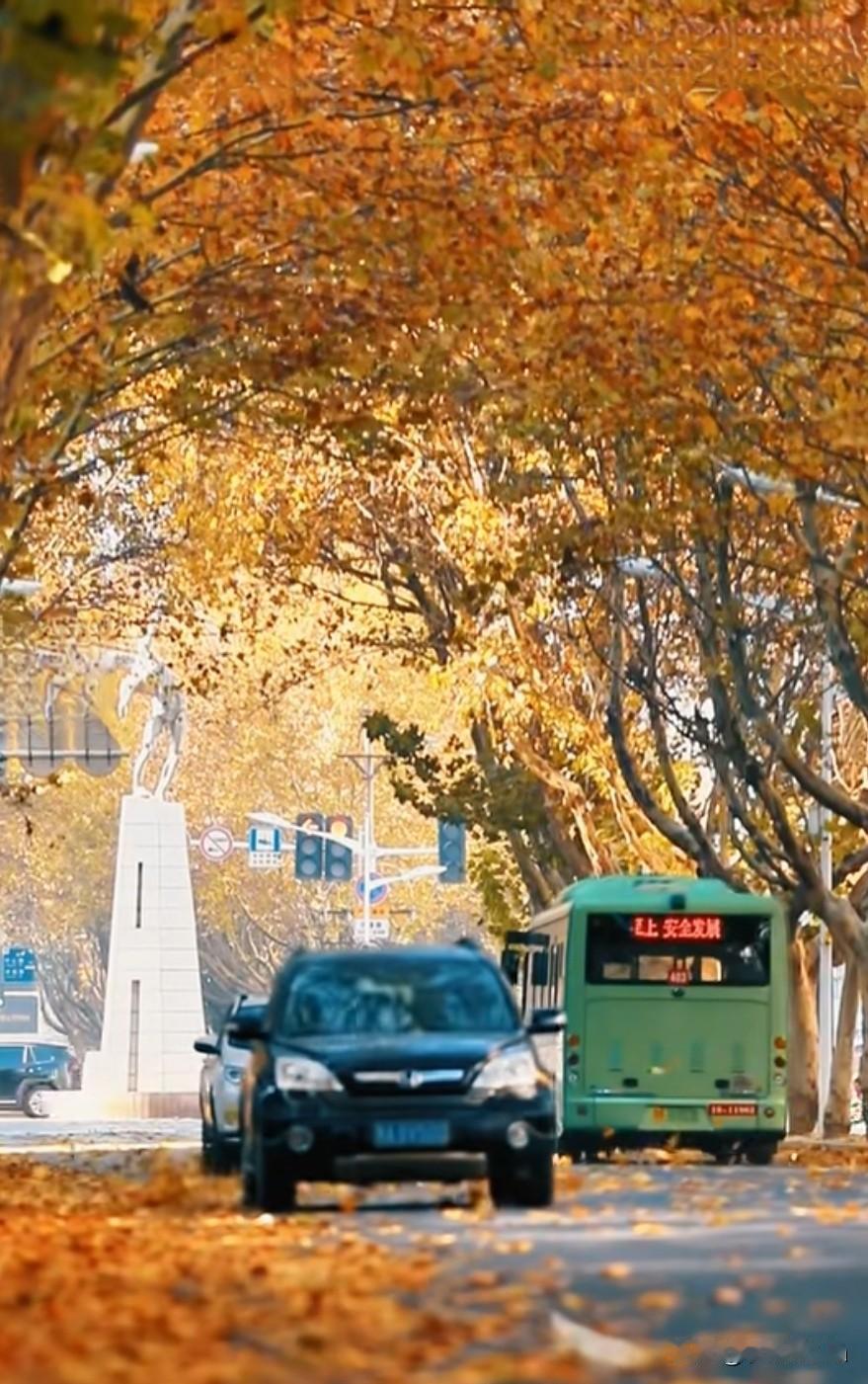 接纳四季起落，方品人生万般美好
 
岁月辗转，四季轮回从无定格，春有繁花盛放，夏