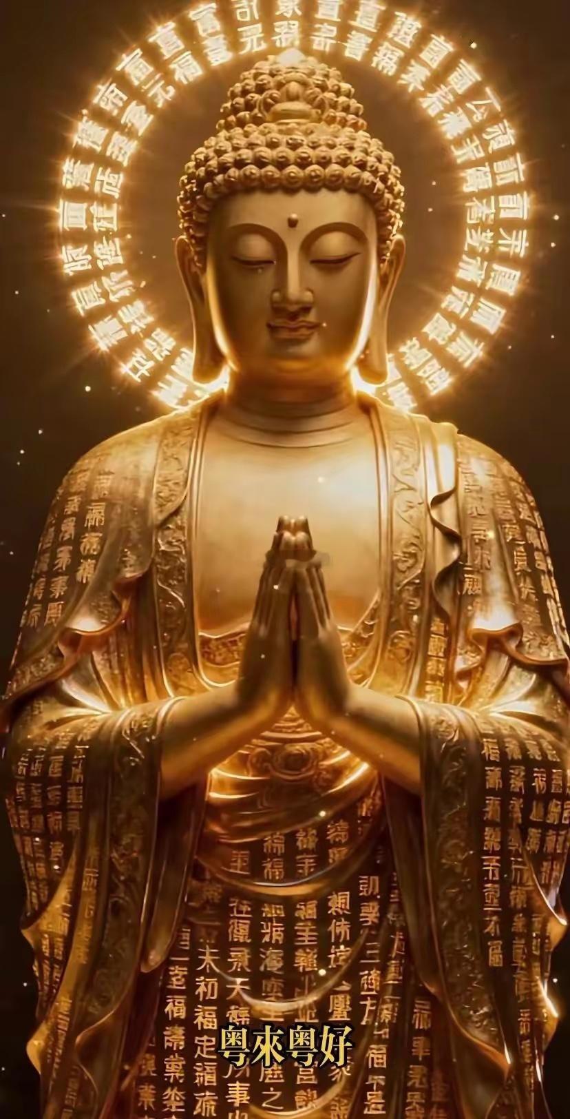 早上好 假期愉快兄弟们 