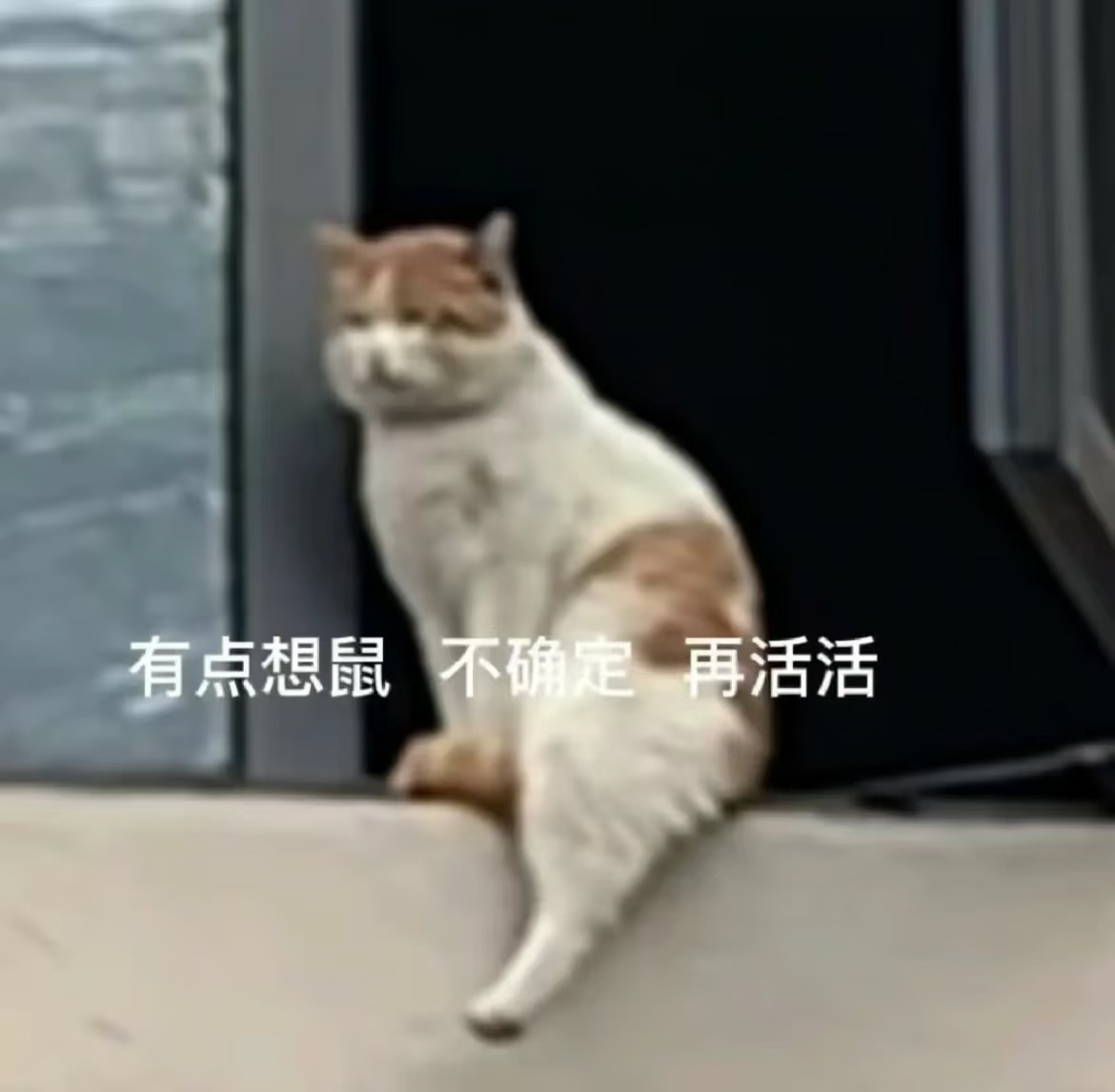 这个rs看得我 