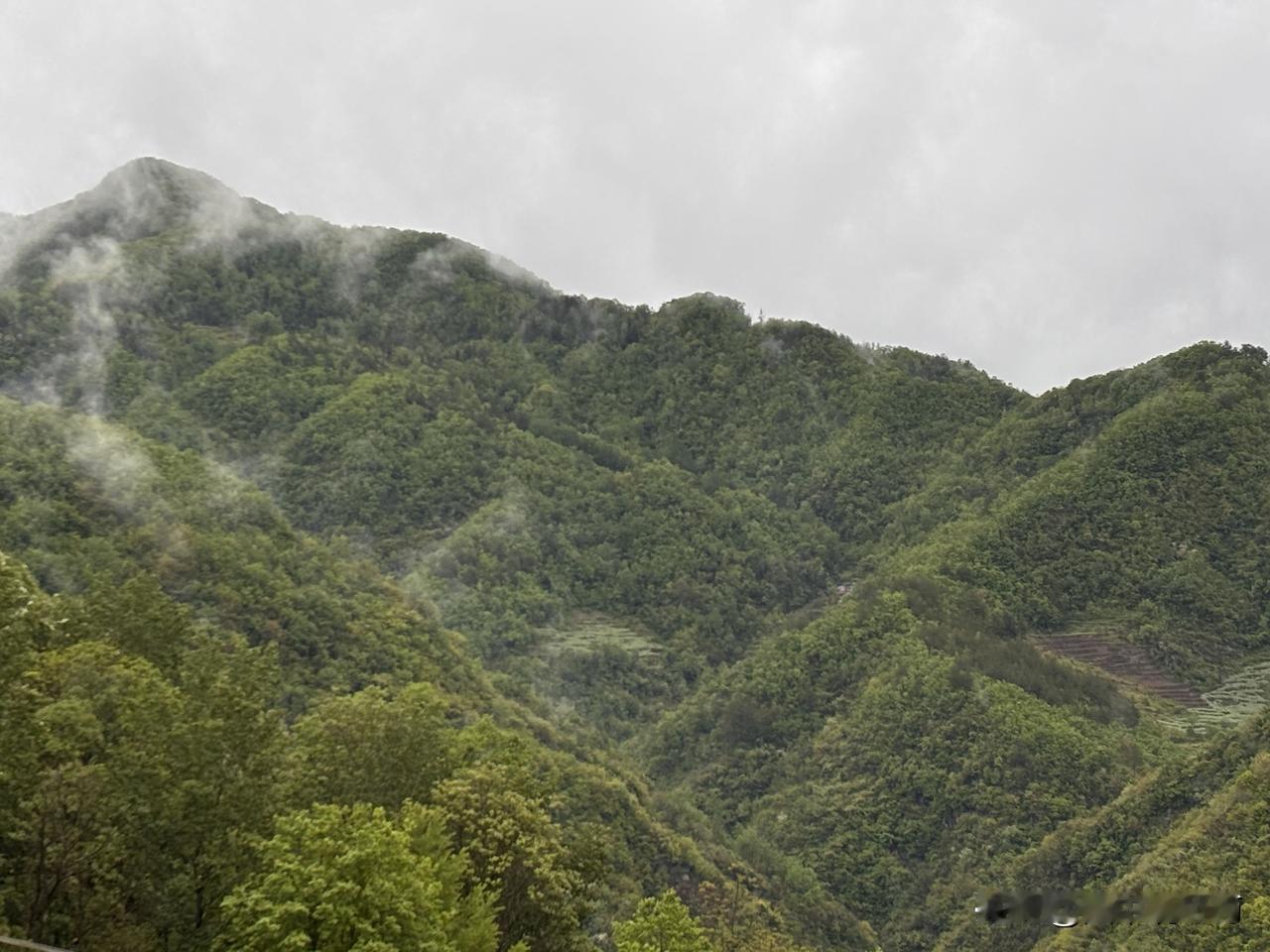 观点创作激励赛云雾缭绕的山间仙境，静谧而神秘。