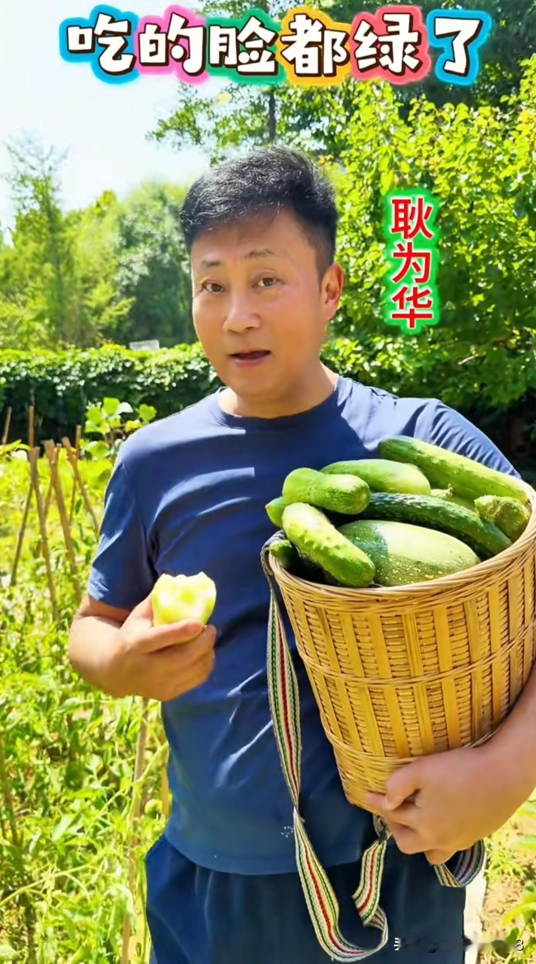 耿为华老师今天在菜园里摘了一大竹筐黄瓜，在北京能有这么大块菜园子真好，耿老师说两