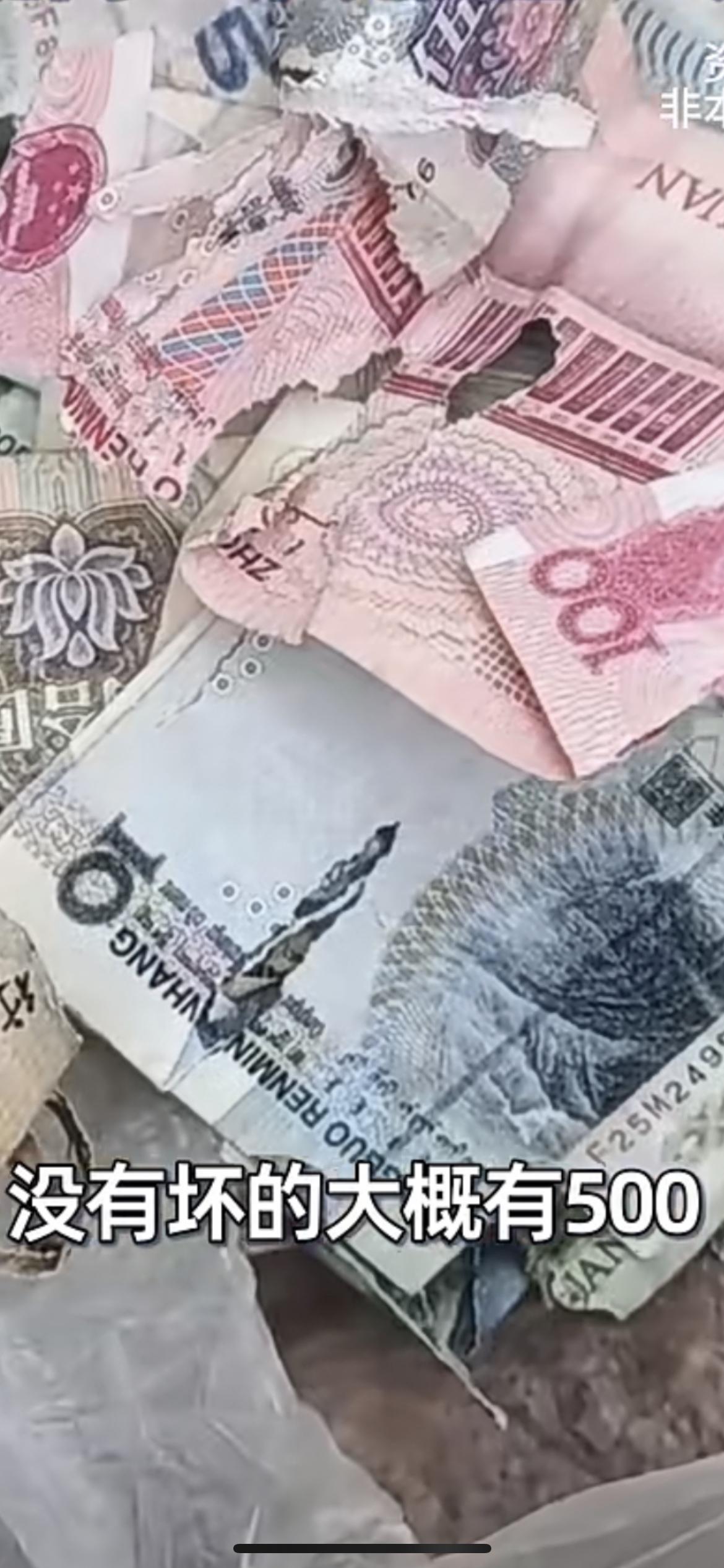 11月4日河南商丘，超市老板发现钱连续几天莫名减少，调监控发现是老鼠“作案”，老