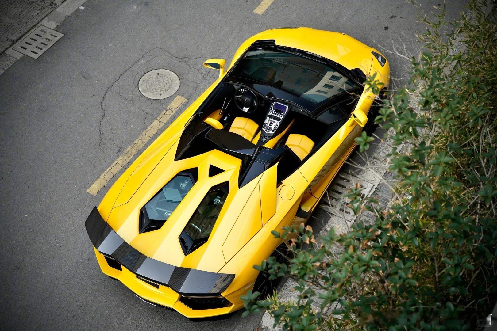 兰博基尼 Aventador LP700-4 Roadster，大牛的魅力无需多