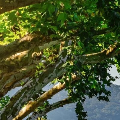 每日一善阳光信用 每日一善 人永远不能停止梦想。梦想是心灵的养料，就像饭菜是身体