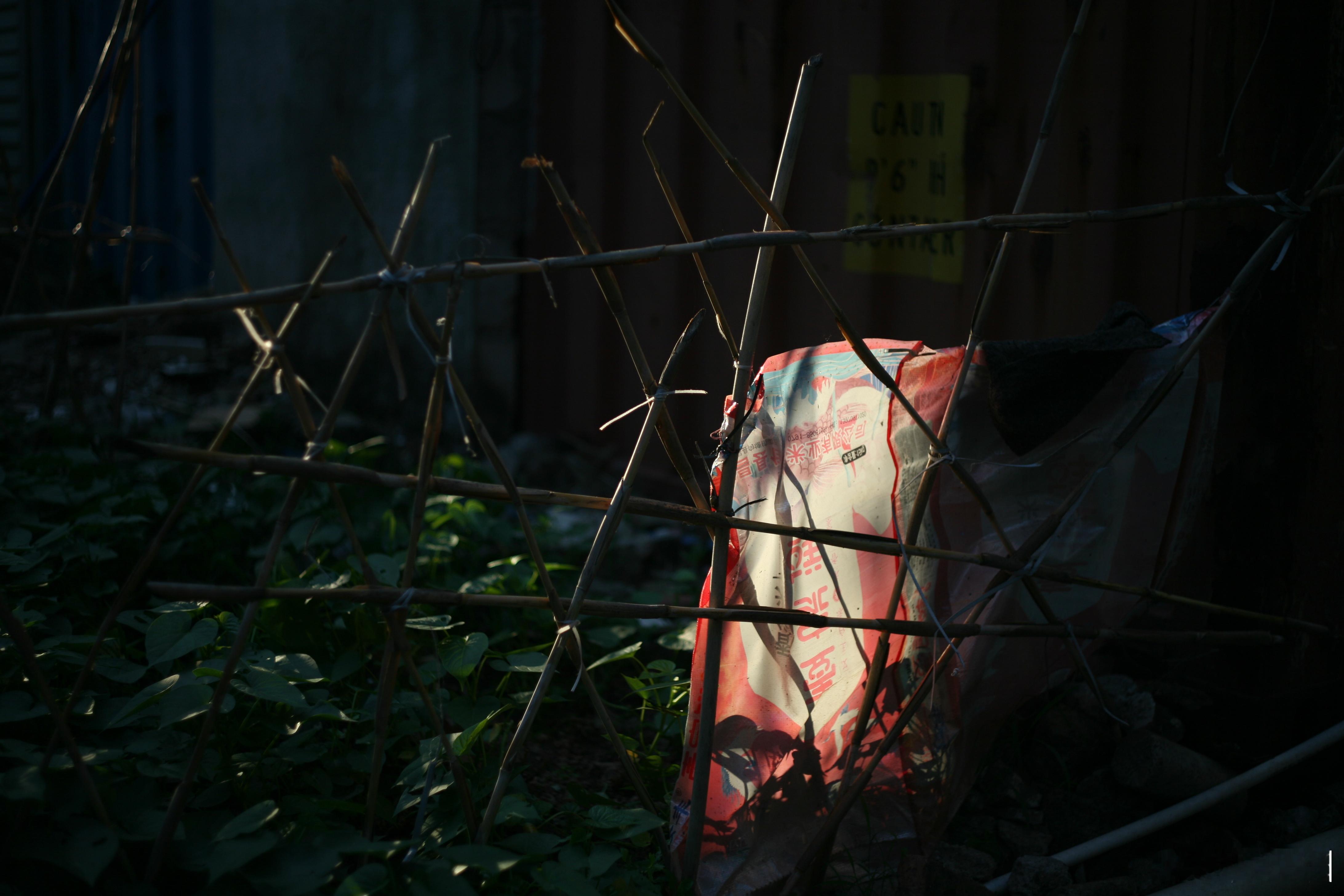 黄埔暹岗的黄昏小景时光代理人我的日常plog城市影像记 佳能5D leicaR5