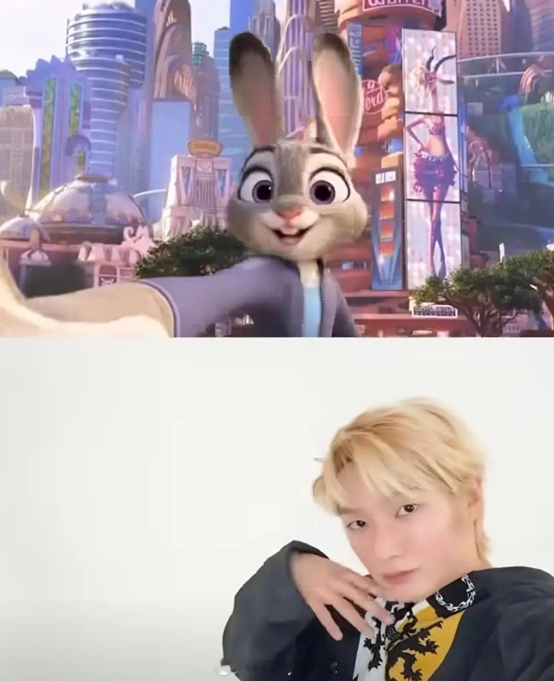 尼克和朱迪有拒绝被cha的权利吗，真的心疼此兔子和此狐狸了……