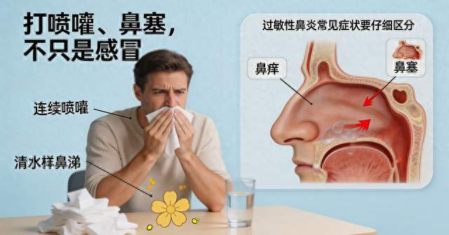 老鼻炎福音！新型靶向鼻炎针纳入医保，千万别盲目跟风