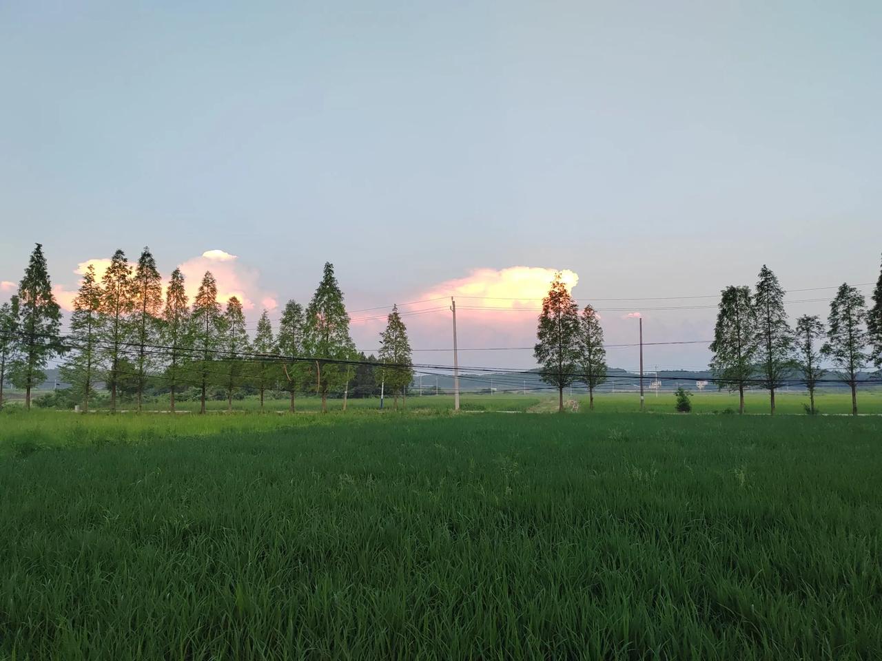 欢迎来到我的家乡带大家欣赏一下我们江西上饶鄱阳县的农村风景，这地方是我每天跑步的