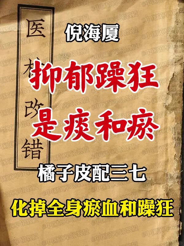 倪海厦，抑郁躁狂是痰和瘀，橘子皮配三七，化掉全身瘀血和躁狂