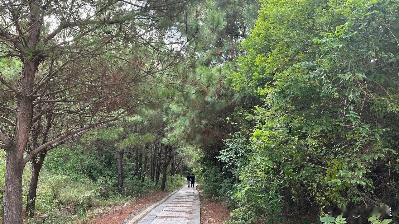 很久没有爬山，昨天天气还不错，不是太热。下午4:00多去散步，走到山脚下，后来想