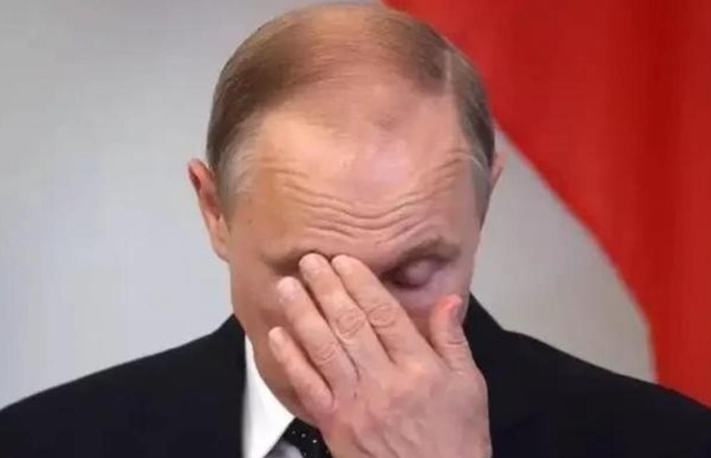 很多人以为，中国一旦开战就会陷入“群狼围攻”。错了！真相是，只要那根牵绳子的美国